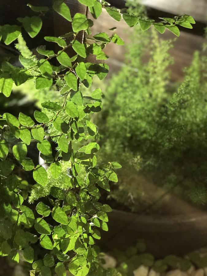 ユニーク ホリディ ホテル 花蓮市 エクステリア 写真